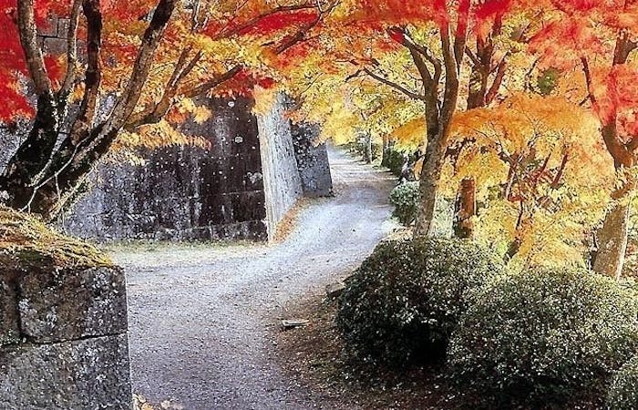 九重 久住 竹田 長湯紅葉21 九重 久住 竹田 長湯 秋の風物詩 紅葉を愉しむ 紅葉おすすめ人気スポット8選 一休 Comレストラン 九重 久住 竹田 長湯紅葉21 九重 久住 竹田 長湯 秋の風物詩 紅葉を愉しむ 紅葉おすすめ人気スポット8選 一休 Comレストラン