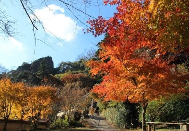 大分紅葉21 大分 秋の風物詩 紅葉を愉しむ 紅葉おすすめ人気スポット7選 一休 Comレストラン 大分紅葉21 大分 秋の風物詩 紅葉を愉しむ 紅葉おすすめ人気スポット7選 一休 Comレストラン
