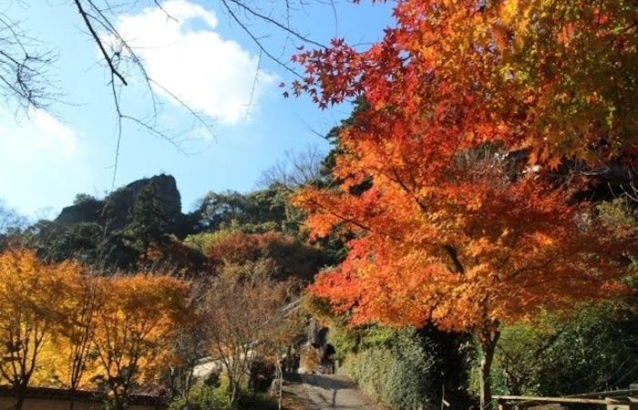 中津 国東紅葉22 中津 国東 秋の風物詩 紅葉を愉しむ 紅葉おすすめ人気スポット2選 一休 Comレストラン 中津 国東紅葉22 中津 国東 秋の風物詩 紅葉を愉しむ 紅葉おすすめ人気スポット2選 一休 Comレストラン