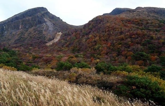 えびの 小林 都城紅葉21 えびの 小林 都城 秋の風物詩 紅葉を愉しむ 紅葉おすすめ人気スポット2選 一休 Comレストラン えびの 小林 都城紅葉21 えびの 小林 都城 秋の風物詩 紅葉を愉しむ 紅葉おすすめ人気スポット2選 一休 Comレストラン