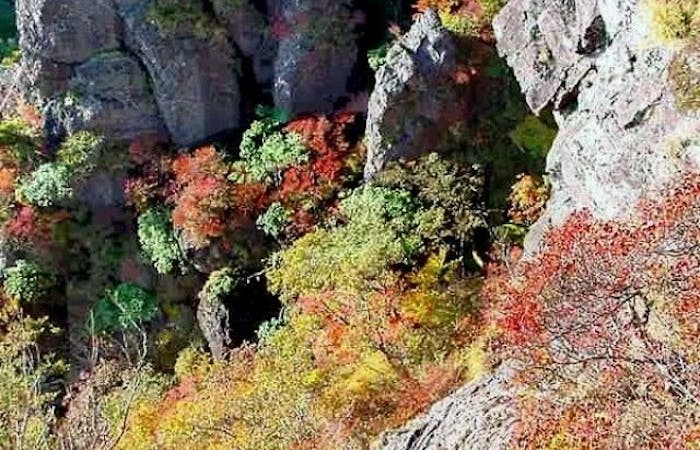 九重 久住 竹田 長湯紅葉21 九重 久住 竹田 長湯 秋の風物詩 紅葉を愉しむ 紅葉おすすめ人気スポット8選 一休 Comレストラン 九重 久住 竹田 長湯紅葉21 九重 久住 竹田 長湯 秋の風物詩 紅葉を愉しむ 紅葉おすすめ人気スポット8選 一休 Comレストラン