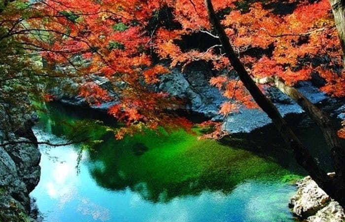 日向 延岡 高千穂紅葉21 日向 延岡 高千穂 秋の風物詩 紅葉を愉しむ 紅葉おすすめ人気スポット6選 一休 Comレストラン 日向 延岡 高千穂紅葉21 日向 延岡 高千穂 秋の風物詩 紅葉を愉しむ 紅葉おすすめ人気スポット6選 一休 Comレストラン