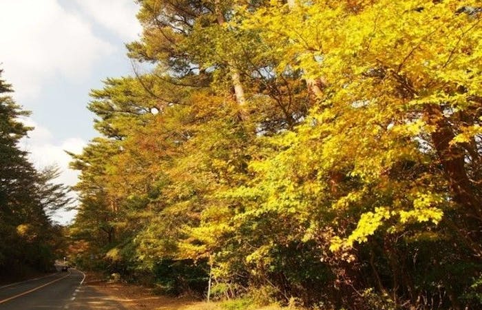 霧島市紅葉21 霧島市 秋の風物詩 紅葉を愉しむ 紅葉おすすめ人気スポット3選 一休 Comレストラン 霧島市紅葉21 霧島市 秋の風物詩 紅葉を愉しむ 紅葉おすすめ人気スポット3選 一休 Comレストラン