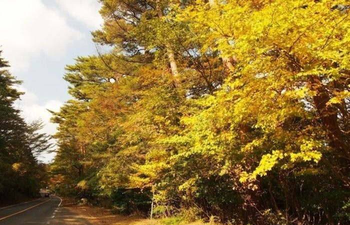 霧島市紅葉21 霧島市 秋の風物詩 紅葉を愉しむ 紅葉おすすめ人気スポット3選 一休 Comレストラン