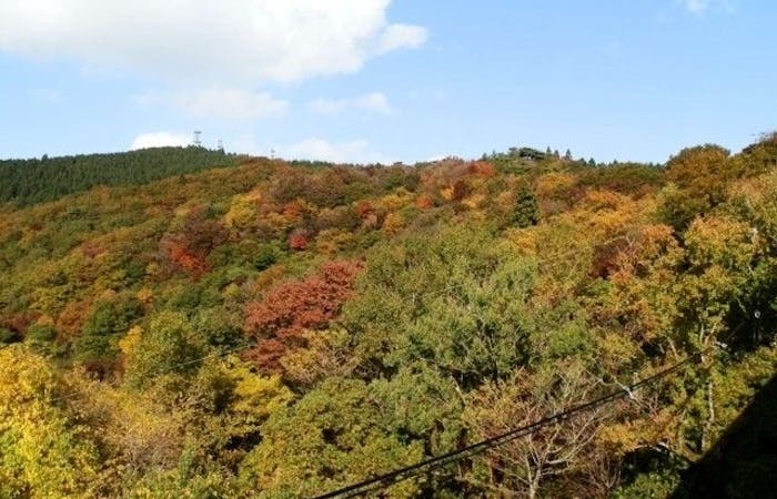 泉佐野紅葉21 泉佐野 秋の風物詩 紅葉を愉しむ 紅葉おすすめ人気スポット13選 一休 Comレストラン 泉佐野紅葉21 泉佐野 秋の風物詩 紅葉を愉しむ 紅葉おすすめ人気スポット13選 一休 Comレストラン