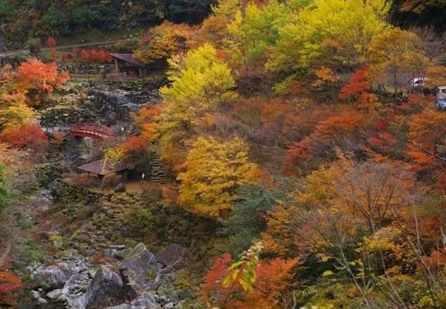 四国紅葉21 四国 秋の風物詩 紅葉を愉しむ 紅葉おすすめ人気スポット23選 一休 Comレストラン 四国紅葉21 四国 秋の風物詩 紅葉を愉しむ 紅葉おすすめ人気スポット23選 一休 Comレストラン