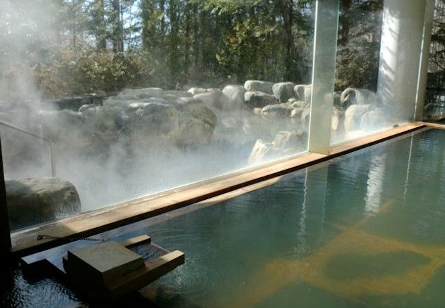 贅沢愉しむ温泉旅行 2021 泉質豊富な温泉で癒しのひとときを 一休 com