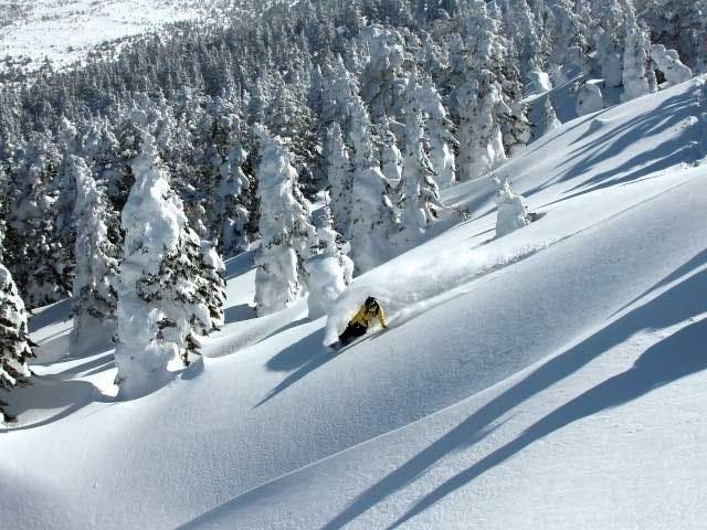 マウンテンフィールド宮城蔵王すみかわスノーパーク 宮城 白石 蔵王 川崎 柴田 人気スキー場 一休 Com