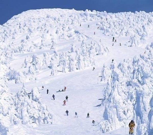 山形蔵王温泉スキー場 山形 山形市 人気スキー場 一休 Com 山形蔵王温泉スキー場 山形 山形市 人気スキー場 一休 Com