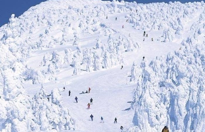 山形市 スキー21 22 山形市 充実したゲレンデ情報が満載 おすすめ人気スキー場8選 一休 Com 山形市 スキー21 22 山形市 充実したゲレンデ情報が満載 おすすめ人気スキー場8選 一休 Com