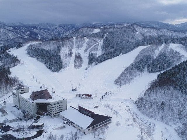 ニュー グリーンピア津南スキー場 新潟 南魚沼 十日町 津南 六日町 人気スキー場 一休 Com