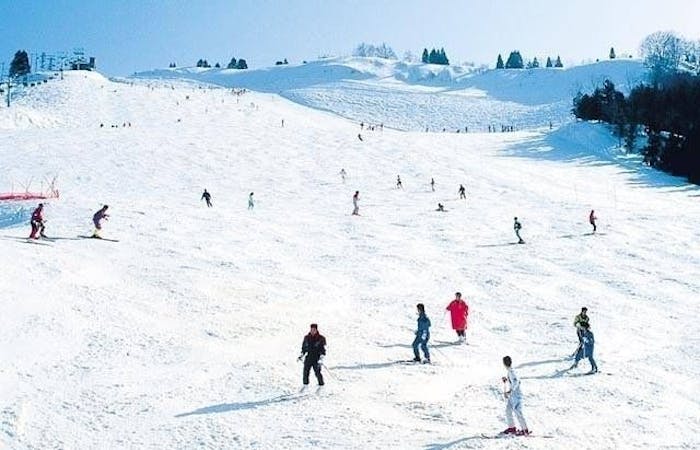 富山市 スキー21 22 富山市 充実したゲレンデ情報が満載 おすすめ人気スキー場3選 一休 Com 富山市 スキー21 22 富山市 充実したゲレンデ情報が満載 おすすめ人気スキー場3選 一休 Com