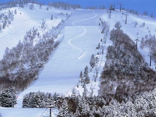 志賀高原 焼額山スキー場 長野 下高井 伊那 茅野 人気スキー場 一休 Com
