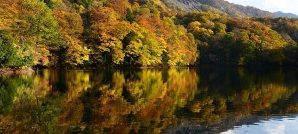 小国紅葉21 小国 秋の風物詩 紅葉を愉しむ 紅葉おすすめ人気スポット7選 一休 Comレストラン