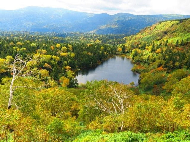 八幡平市紅葉21 八幡平市 秋の風物詩 紅葉を愉しむ 紅葉おすすめ人気スポット2選 一休 Comレストラン