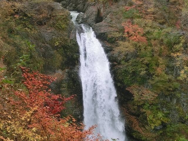 仙台紅葉21 仙台 秋の風物詩 紅葉を愉しむ 紅葉おすすめ人気スポット2選 一休 Comレストラン