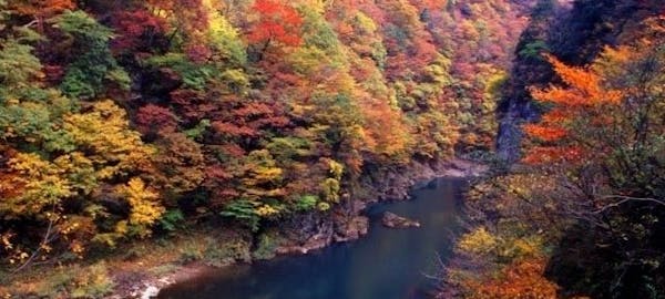 奥州 平泉 一関紅葉21 奥州 平泉 一関 秋の風物詩 紅葉を愉しむ 紅葉おすすめ人気スポット5選 一休 Comレストラン 奥州 平泉 一関紅葉21 奥州 平泉 一関 秋の風物詩 紅葉を愉しむ 紅葉おすすめ人気スポット5選 一休 Comレストラン
