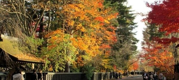 田沢湖紅葉21 田沢湖 秋の風物詩 紅葉を愉しむ 紅葉おすすめ人気スポット3選 一休 Comレストラン 田沢湖紅葉21 田沢湖 秋の風物詩 紅葉を愉しむ 紅葉おすすめ人気スポット3選 一休 Comレストラン