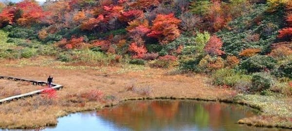 志賀高原紅葉21 志賀高原 秋の風物詩 紅葉を愉しむ 紅葉おすすめ人気スポット5選 一休 Comレストラン 志賀高原紅葉21 志賀高原 秋の風物詩 紅葉を愉しむ 紅葉おすすめ人気スポット5選 一休 Comレストラン