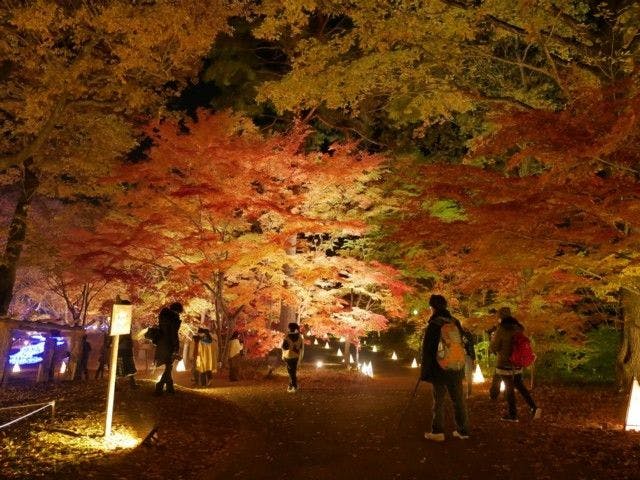 飯能紅葉22 飯能 秋の風物詩 紅葉を愉しむ 紅葉おすすめ人気スポット18選 一休 Comレストラン