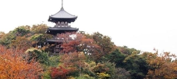 鎌倉紅葉2020 鎌倉 秋の風物詩 紅葉を愉しむ 紅葉おすすめ人気スポット10選 一休 Comレストラン