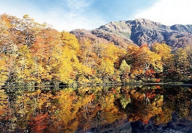 福井紅葉 福井 秋の風物詩 紅葉を愉しむ 紅葉おすすめ人気スポット8選 一休 Comレストラン