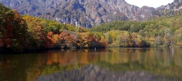 志賀高原紅葉21 志賀高原 秋の風物詩 紅葉を愉しむ 紅葉おすすめ人気スポット5選 一休 Comレストラン 志賀高原紅葉21 志賀高原 秋の風物詩 紅葉を愉しむ 紅葉おすすめ人気スポット5選 一休 Comレストラン