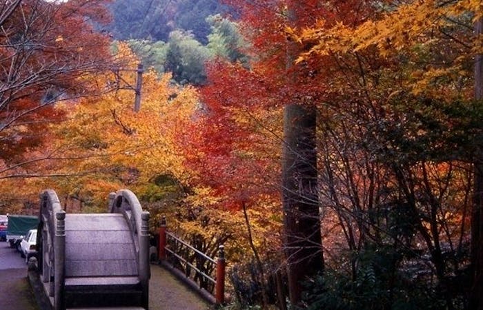 美濃紅葉19 美濃 秋の風物詩 紅葉を愉しむ 紅葉おすすめ人気スポット18選 一休 Comレストラン 美濃紅葉19 美濃 秋の風物詩 紅葉を愉しむ 紅葉おすすめ人気スポット18選 一休 Comレストラン