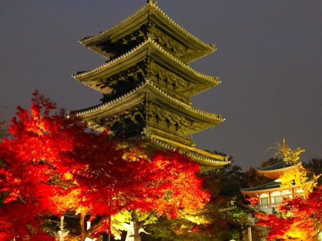 名古屋紅葉21 名古屋 秋の風物詩 紅葉を愉しむ 紅葉おすすめ人気スポット6選 一休 Comレストラン