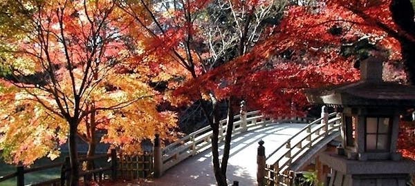 名古屋紅葉22 名古屋 秋の風物詩 紅葉を愉しむ 紅葉おすすめ人気スポット6選 一休 Comレストラン 名古屋紅葉22 名古屋 秋の風物詩 紅葉を愉しむ 紅葉おすすめ人気スポット6選 一休 Comレストラン