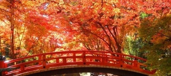 大津紅葉21 大津 秋の風物詩 紅葉を愉しむ 紅葉おすすめ人気スポット30選 一休 Comレストラン 大津紅葉21 大津 秋の風物詩 紅葉を愉しむ 紅葉おすすめ人気スポット30選 一休 Comレストラン
