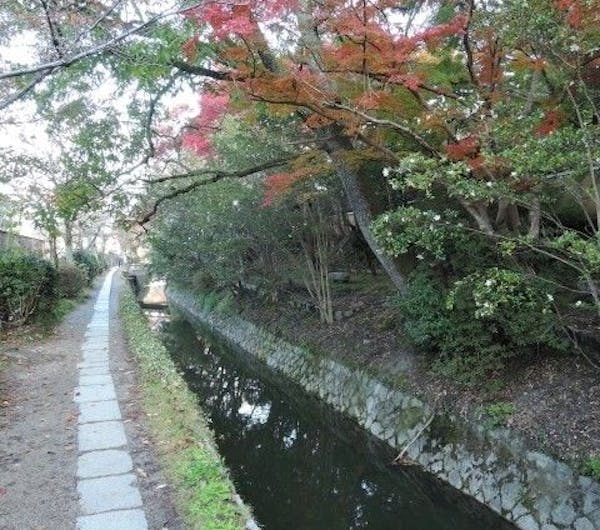 哲学の道 京都 東山 人気紅葉スポット 一休 Comレストラン 哲学の道 京都 東山 人気紅葉スポット 一休 Comレストラン