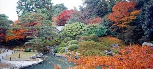 大津紅葉 大津 秋の風物詩 紅葉を愉しむ 紅葉おすすめ人気スポット30選 一休 Comレストラン