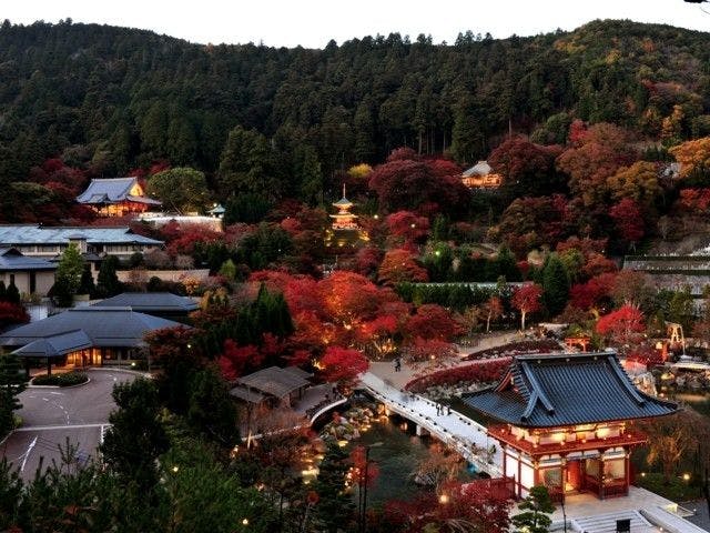 六甲山紅葉22 六甲山 秋の風物詩 紅葉を愉しむ 紅葉おすすめ人気スポット13選 一休 Comレストラン