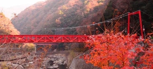 六甲山紅葉 六甲山 秋の風物詩 紅葉を愉しむ 紅葉おすすめ人気スポット13選 一休 Comレストラン