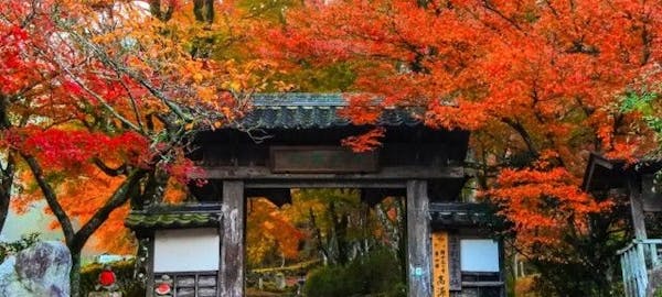 鳥取市紅葉21 鳥取市 秋の風物詩 紅葉を愉しむ 紅葉おすすめ人気スポット4選 一休 Comレストラン 鳥取市紅葉21 鳥取市 秋の風物詩 紅葉を愉しむ 紅葉おすすめ人気スポット4選 一休 Comレストラン
