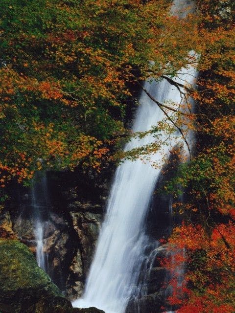 宍粟紅葉21 宍粟 秋の風物詩 紅葉を愉しむ 紅葉おすすめ人気スポット7選 一休 Comレストラン 宍粟紅葉21 宍粟 秋の風物詩 紅葉を愉しむ 紅葉おすすめ人気スポット7選 一休 Comレストラン