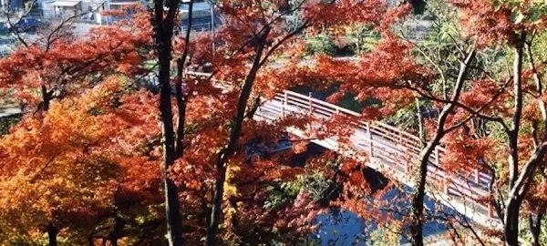 桜井 橿原 明日香村紅葉21 桜井 橿原 明日香村 秋の風物詩 紅葉を愉しむ 紅葉おすすめ人気スポット18選 一休 Comレストラン 桜井 橿原 明日香村紅葉21 桜井 橿原 明日香村 秋の風物詩 紅葉を愉しむ 紅葉おすすめ人気スポット18選 一休 Comレストラン