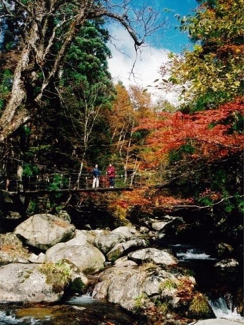 鳥取市紅葉21 鳥取市 秋の風物詩 紅葉を愉しむ 紅葉おすすめ人気スポット4選 一休 Comレストラン 鳥取市紅葉21 鳥取市 秋の風物詩 紅葉を愉しむ 紅葉おすすめ人気スポット4選 一休 Comレストラン