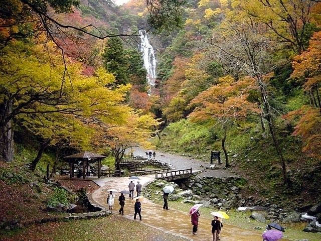 真庭市紅葉22 真庭市 秋の風物詩 紅葉を愉しむ 紅葉おすすめ人気スポット13選 一休 Comレストラン
