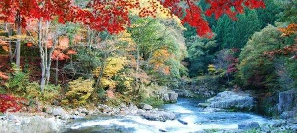 出雲紅葉21 出雲 秋の風物詩 紅葉を愉しむ 紅葉おすすめ人気スポット3選 一休 Comレストラン 出雲紅葉21 出雲 秋の風物詩 紅葉を愉しむ 紅葉おすすめ人気スポット3選 一休 Comレストラン
