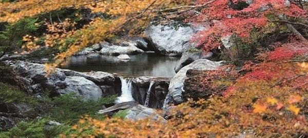 仁淀川町 いの町紅葉21 仁淀川町 いの町 秋の風物詩 紅葉を愉しむ 紅葉おすすめ人気スポット6選 一休 Comレストラン 仁淀川町 いの町紅葉21 仁淀川町 いの町 秋の風物詩 紅葉を愉しむ 紅葉おすすめ人気スポット6選 一休 Comレストラン
