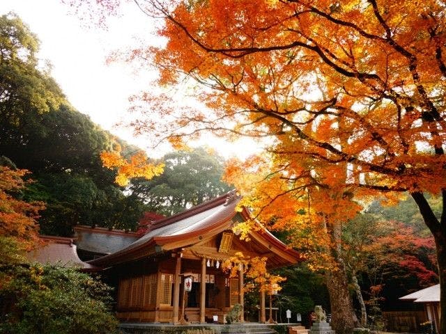太宰府 宗像紅葉22 太宰府 宗像 秋の風物詩 紅葉を愉しむ 紅葉おすすめ人気スポット7選 一休 Comレストラン