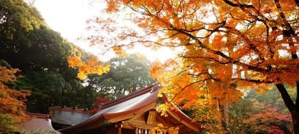 秋月紅葉21 秋月 秋の風物詩 紅葉を愉しむ 紅葉おすすめ人気スポット6選 一休 Comレストラン 秋月紅葉21 秋月 秋の風物詩 紅葉を愉しむ 紅葉おすすめ人気スポット6選 一休 Comレストラン