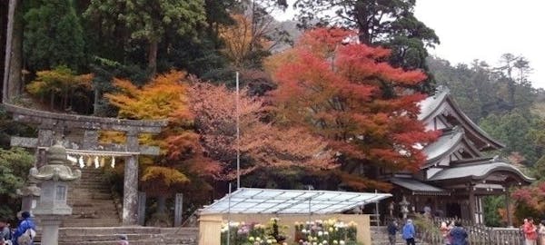 秋月紅葉21 秋月 秋の風物詩 紅葉を愉しむ 紅葉おすすめ人気スポット6選 一休 Comレストラン 秋月紅葉21 秋月 秋の風物詩 紅葉を愉しむ 紅葉おすすめ人気スポット6選 一休 Comレストラン