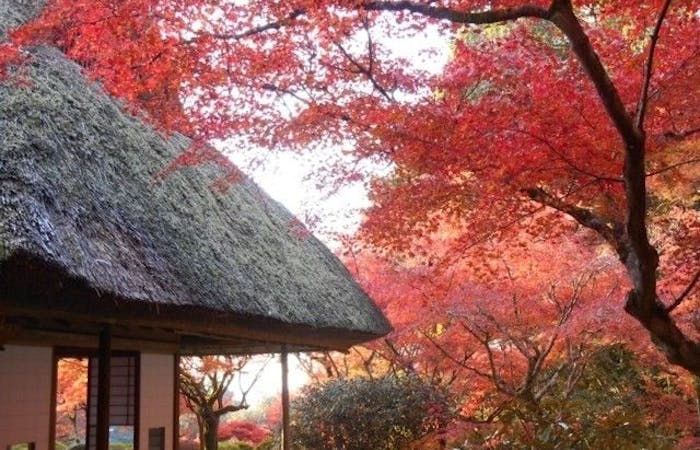 秋月紅葉22 秋月 秋の風物詩 紅葉を愉しむ 紅葉おすすめ人気スポット6選 一休 Comレストラン 秋月紅葉22 秋月 秋の風物詩 紅葉を愉しむ 紅葉おすすめ人気スポット6選 一休 Comレストラン