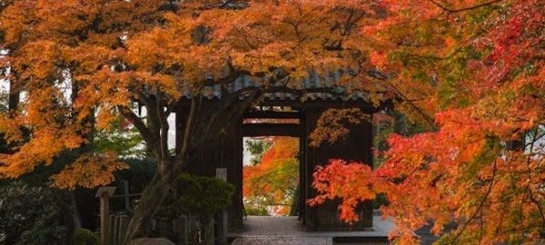 秋月紅葉21 秋月 秋の風物詩 紅葉を愉しむ 紅葉おすすめ人気スポット6選 一休 Comレストラン 秋月紅葉21 秋月 秋の風物詩 紅葉を愉しむ 紅葉おすすめ人気スポット6選 一休 Comレストラン