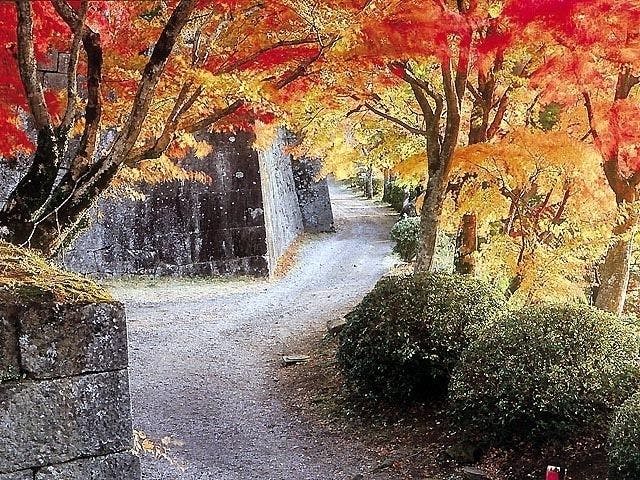 九重・久住・竹田・長湯紅葉2023/九重・久住・竹田・長湯・秋の風物詩