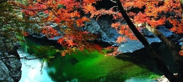 山都紅葉21 山都 秋の風物詩 紅葉を愉しむ 紅葉おすすめ人気スポット4選 一休 Comレストラン 山都紅葉21 山都 秋の風物詩 紅葉を愉しむ 紅葉おすすめ人気スポット4選 一休 Comレストラン