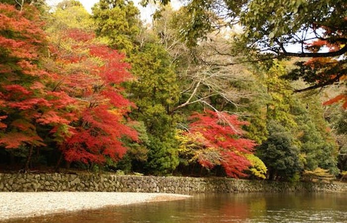 伊勢紅葉21 伊勢 秋の風物詩 紅葉を愉しむ 紅葉おすすめ人気スポット1選 一休 Comレストラン 伊勢紅葉21 伊勢 秋の風物詩 紅葉を愉しむ 紅葉おすすめ人気スポット1選 一休 Comレストラン